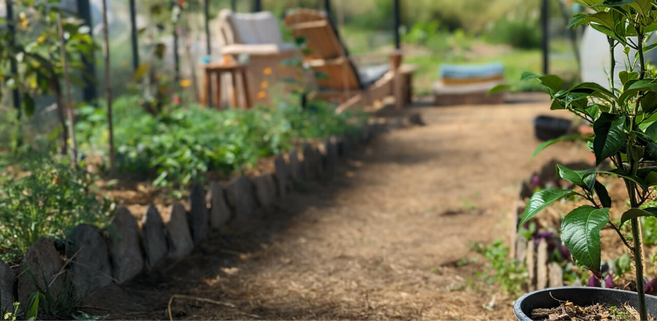 Quelle Taille De Serre Choisir Le Potager Permacole