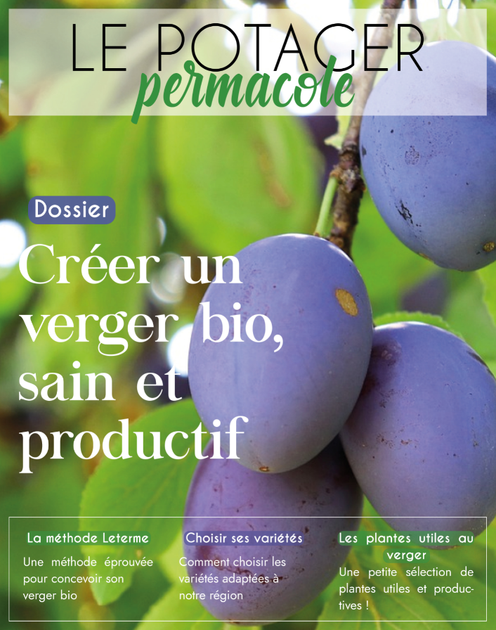 verger permaculture