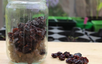 Autonome en raisins secs…un objectif facile à atteindre !