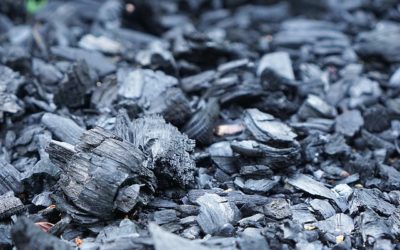 Le charbon de bois au potager : propriétés et utilisations