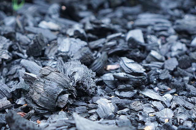 charbon de bois potager