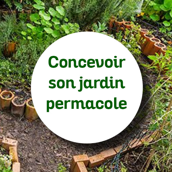 créer jardin permaculture