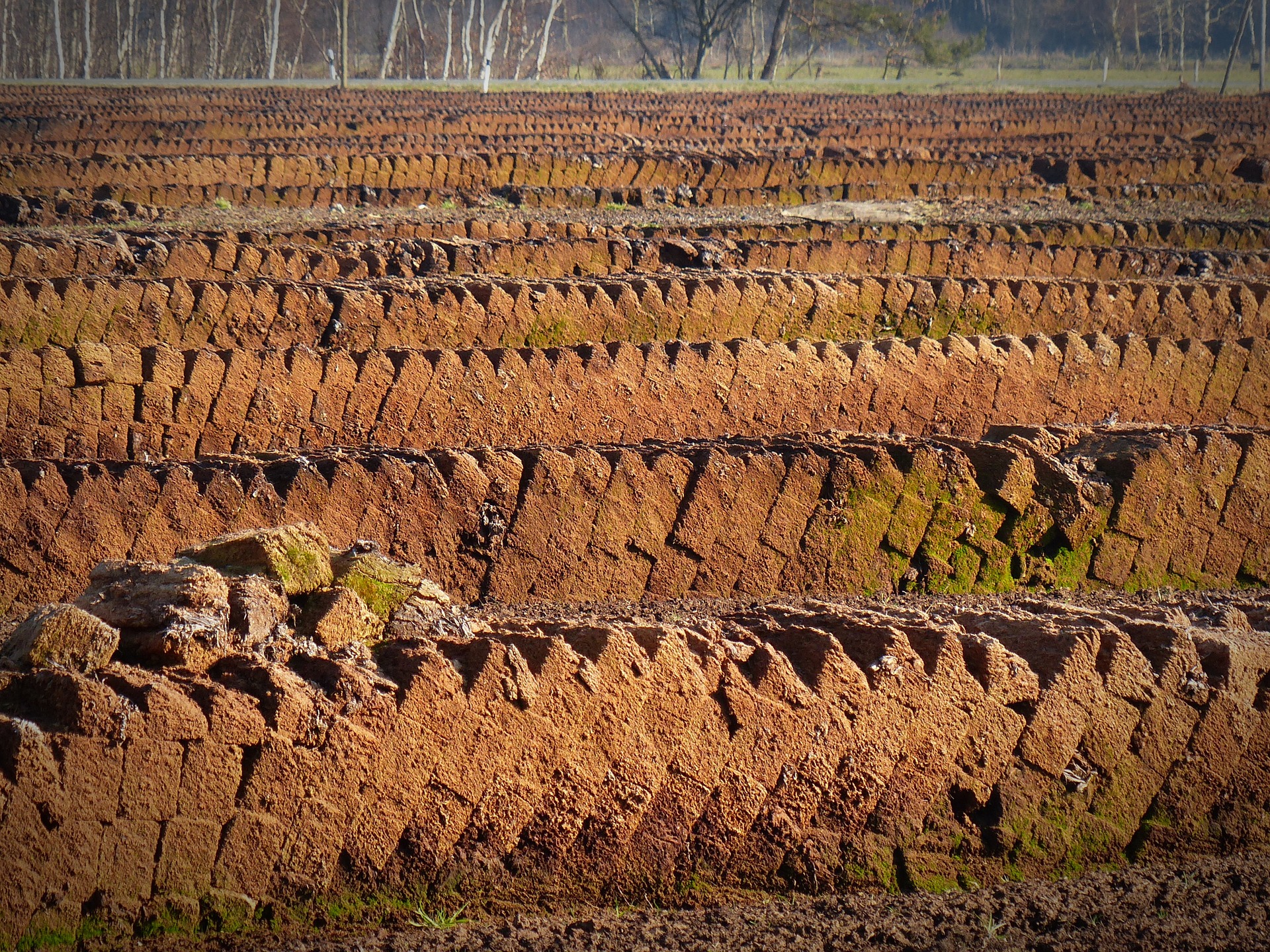 peat-1263431_1920