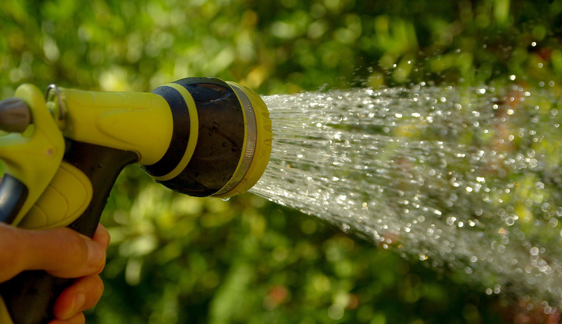 watering-1601143_1920