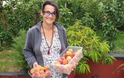 Adoptez les fruitiers nains