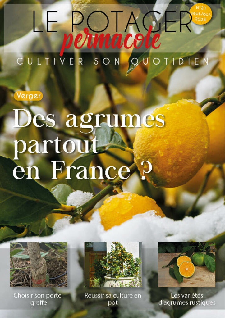 revue permaculture agrumes rustiques