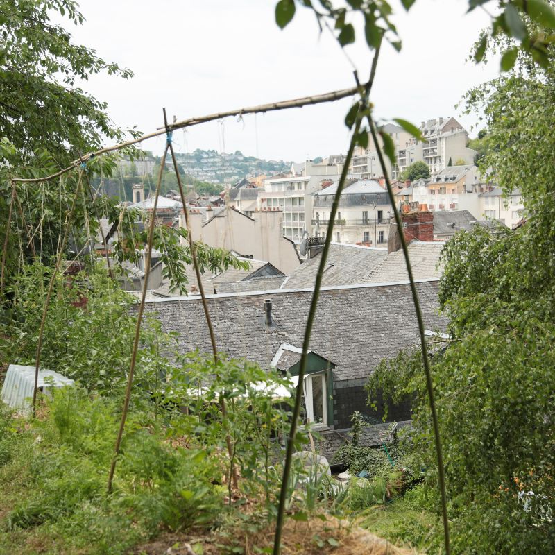structure tomates
