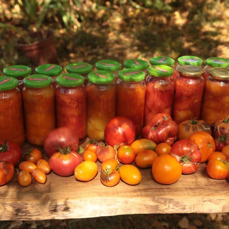 Packs de graines 2026 : Tomates et laitues – Image 18