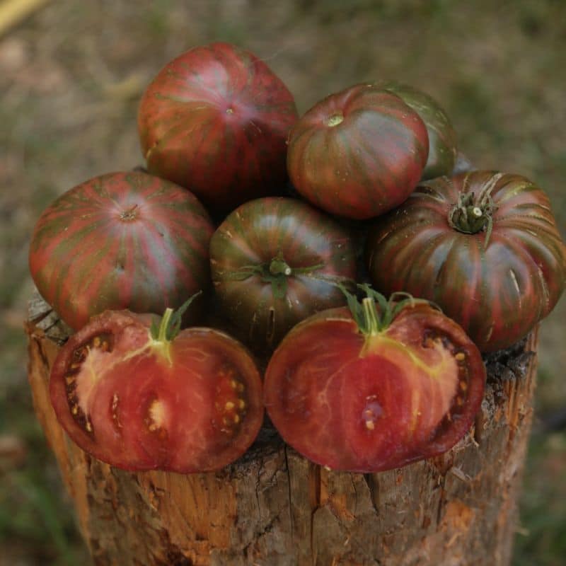 Packs de graines 2026 : Tomates et laitues – Image 19