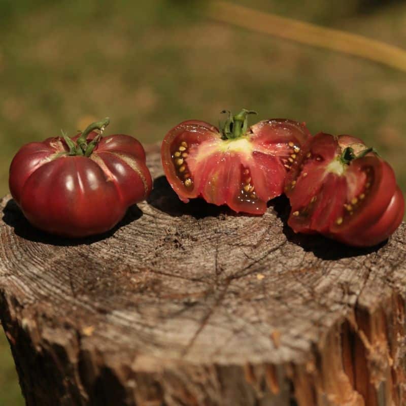 Packs de graines 2026 : Tomates et laitues – Image 20