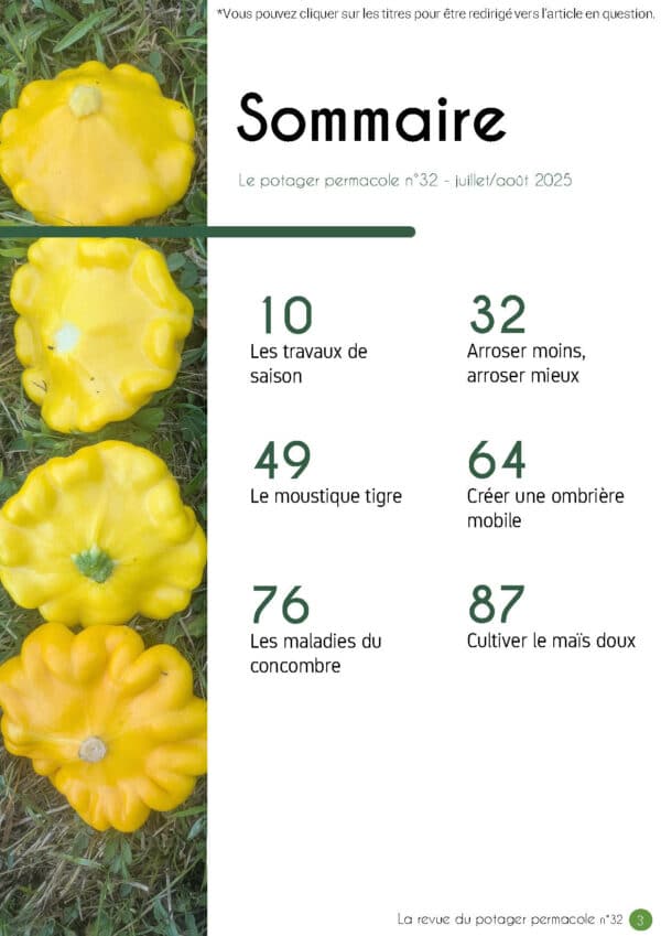 N°32 - Tout savoir sur le moustique tigre – Image 2