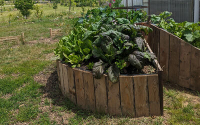 [Article abonnés]  Les différents profils de jardiniers !